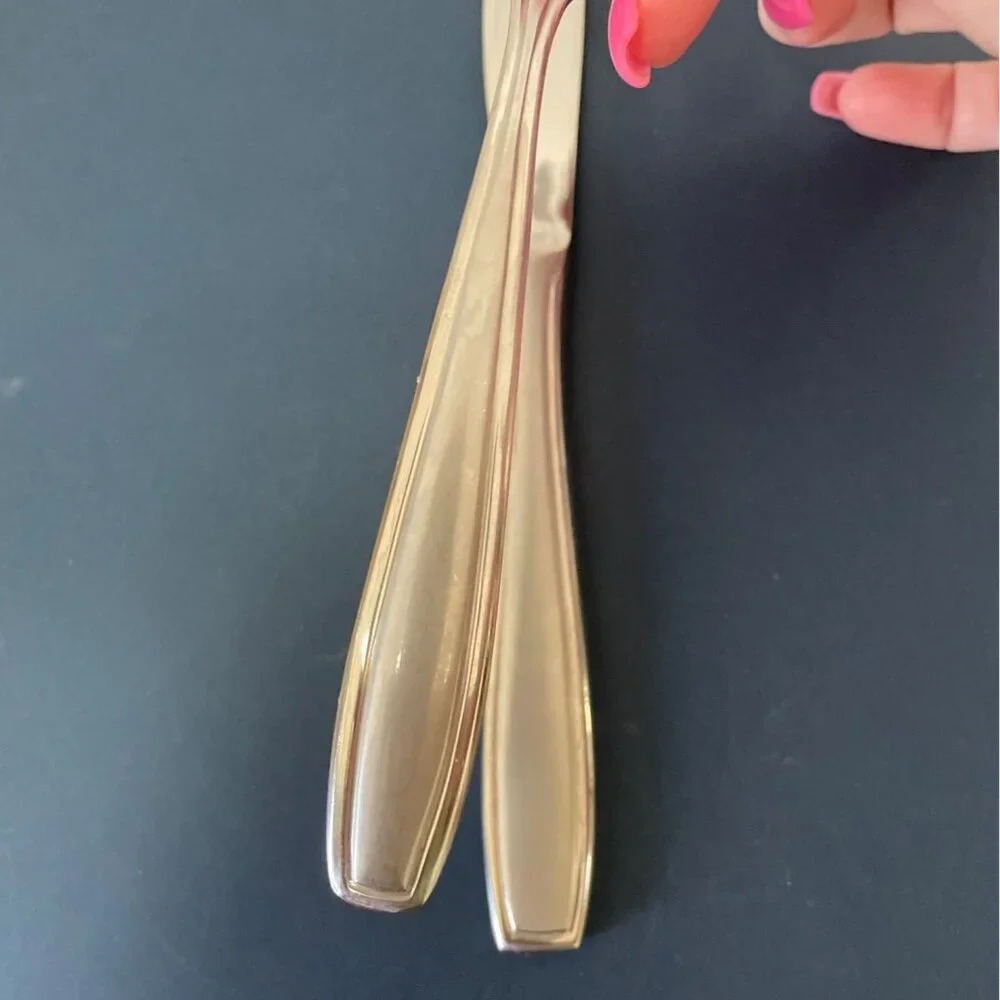 Vtg Oneida Satin Bristol Everdale Salad Dessert Fork Dinner Knife Flatware Set